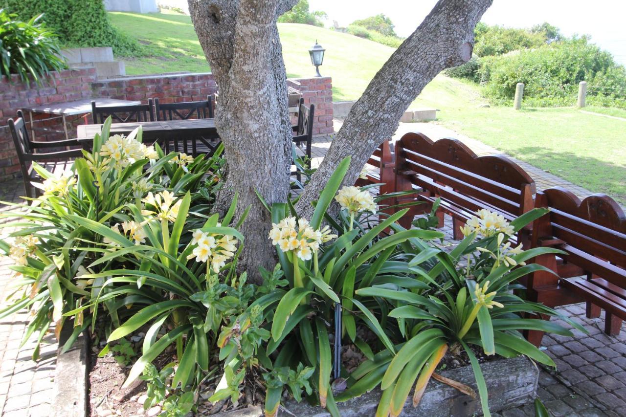 Apartament Imperani Plettenberg Bay Zewnętrze zdjęcie